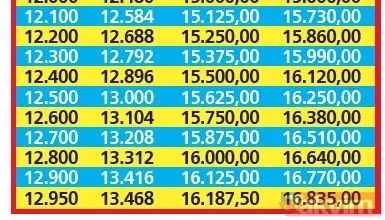 Memurlara ve emeklilere %25 zam müjdesi! %15.40’lık SSK-BAĞ-KUR emeklisi zammına 9.60, 16.48’lik memur artışına 8.52 puan ekledi - 35