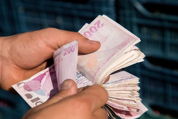 1100 TL pandemi destek başvurusu ekranı! E-devlet 1100 TL TL sosyal yardım desteği başvurusu nasıl yapılır! Şartlar...-6