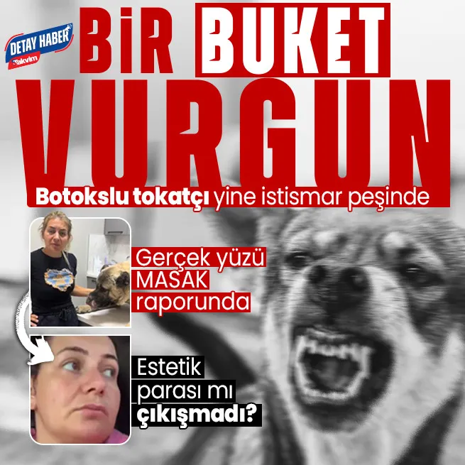 Mama lobisi yine istismar peşinde! Köpek Velisi Buket Özgünlü video çekip para dilendi: Estetik parası mı çıkışmadı?| Vurgun MASAK raporunda