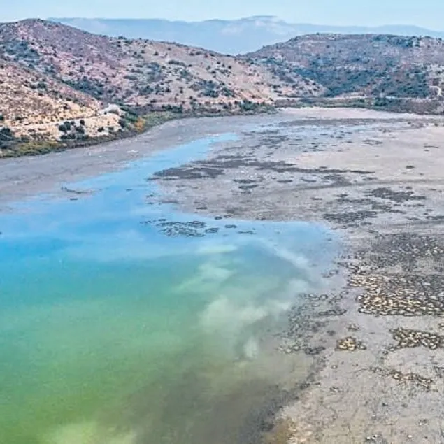 ‘Bafa’yı kurtaralım