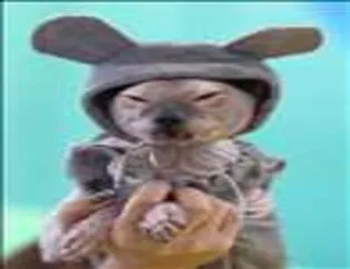 İlginç Kareler - 3