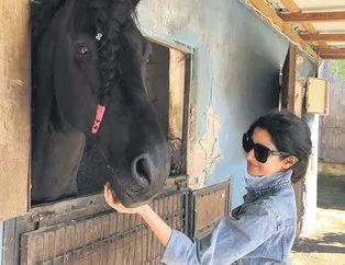 Hayat sevince güzel