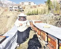 Şırnak’ta azmin hikâyesi! 71 yaşında arıcılık yaparak 5 üniversiteli yetiştirdi