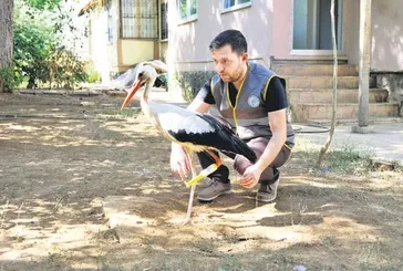 3 boyutlu yazıcıdan leyleğe bacak