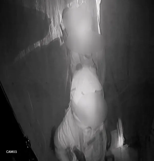 pitbull-kopeklerini-silah-gibi-kullanan-pkk-ile-baglantili-suc-orgutu-cokertildi-1640774645175.jpg Pitbull köpeklerini silah gibi kullanan PKK ile bağlantılı suç örgütü çökertildi-2