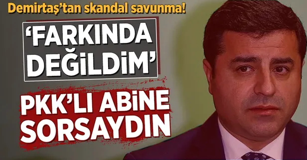 Selahattin Demirtaş'tan skandal "hendek" savunması! "Farkında değildim"