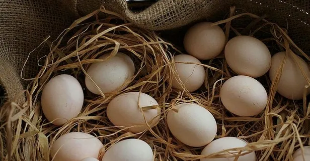 Astıma yumurta kır!