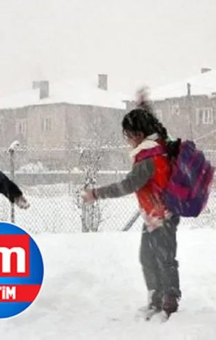 Bingöl’de yarın okullar tatil mi? 20 Ocak 2022 Perşembe Bingöl’de okullarda ders işlenmeyecek mi? Bingöl Valiliği açıklaması…