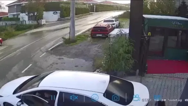 sana-aynisini-yapsalar-nasil-olur-sakarya-sapancada-sokak-kopegini-otomobiliyle-ezdi-1667318918790.jpg Sana aynısını yapsalar nasıl olur? Sakarya Sapanca'da sokak köpeğini otomobiliyle ezdi-4