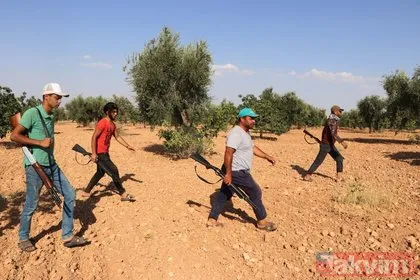 Güneydoğu Anadolu’da ’yeşil altın’ olarak bilinen Antep fıstığı için silahlarla nöbet tutuyorlar