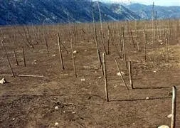 Ve büyük rüya gerçek oluyor!