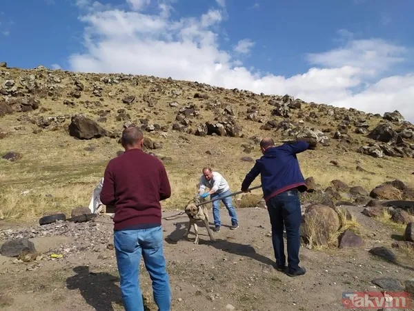 SON DAKİKA: Türkiye Bitlis Adilcevaz'da köpek tarafından ısırılan ve kuduz tespit edilen 10 yaşındaki Mustafa Erçetin'e üzülüyor! İşte son durumu - 12