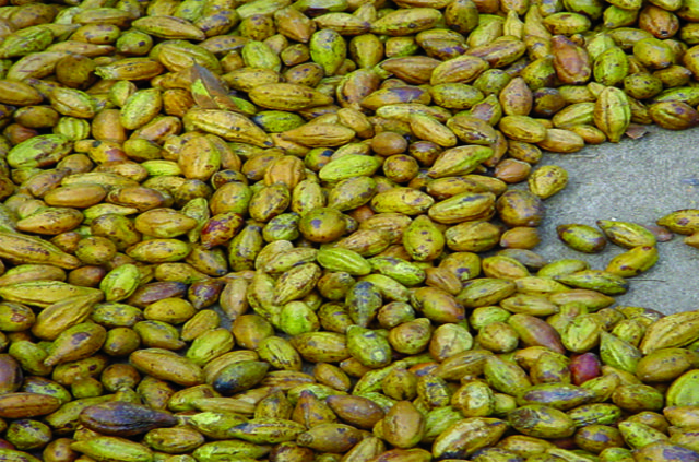 Bilim adamları şaşkın: Her derde deva! Siyah cevher olarak anılıyor! Peygamberimizin reçetesi-6