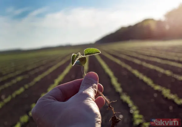 İşletme kiralayana, hayvan alacaklara, sera yapacaklara müjde! 1 milyon TL genç çiftçi kredisi! 'Köye gidip iş kurcam' diyene devletten para fışkırıyor! - 11