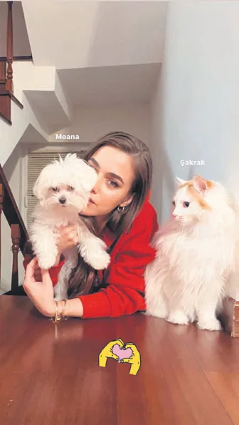 Bensu Soral kedi ve köpeğiyle poz verdi