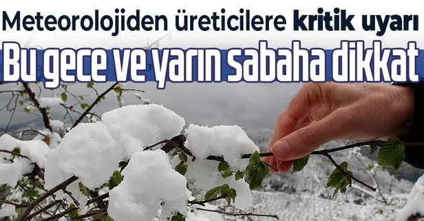 HAVA DURUMU | Meteoroloji saat vererek uyardı: Zirai don tehlikesine dikkat! | 13 Mart İstanbul’da hava nasıl olacak?