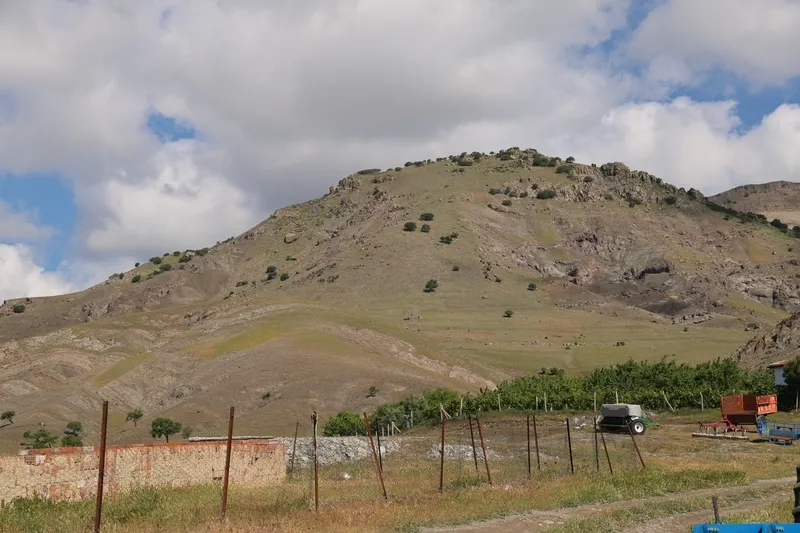 Elazığ'da cansız bedeni bulunan Dilara Günana'nın ölümünde dehşet veren detaylar: Battaniyeye sarıp eşeğe yükledi, define çukuruna gömdü-3