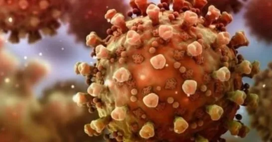 Son dakika: Koronavirüs bağışıklığı ne kadar sürer? Koronavirüs belirtileri nelerdir?-8