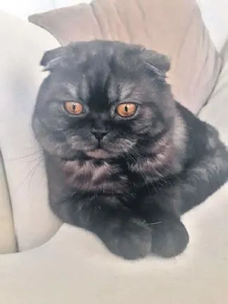 Oyun oynarken kaybolan Ecrin'in cansız bedeni 32 saat sonra derede bulundu (Yaşam haberleri)-16