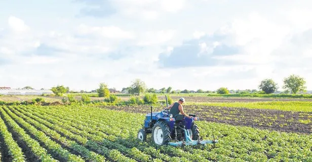 Tarımda büyüme katlandı! Tarım ve ormancılık sektörü 5 çeyrektir büyüyor