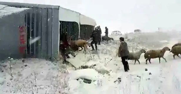 Sivas'ta feci olay! Gören oraya koştu...