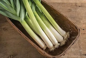 Pırasayla ödeme veda