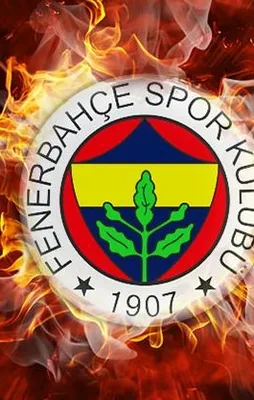 F.Bahçe'de sakatlık şoku