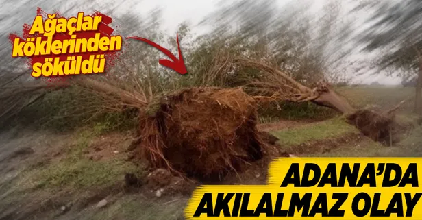 Adana'da fırtına hayatı felç etti