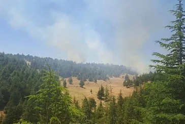 İki ilde orman yangını: Ekipler müdahale ediyor