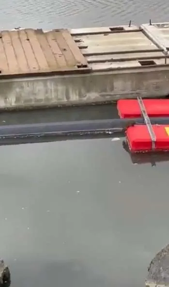 Haliç’te mide bulandıran görüntü! Dev sıçanlar cirit atıyor-3