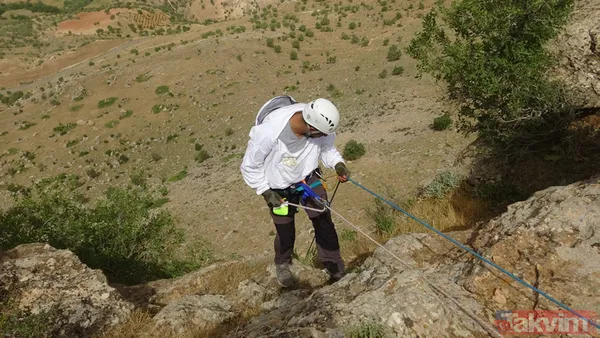 Babasından öğrendi! 150 metre yükseklikteki kayalardan topladığı balı 1000 TL'ye satıyor - 11