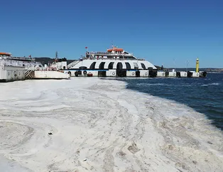 Müsilajın Marmara’ya etkisinin özeti: Sanki bomba atılmış gibi!