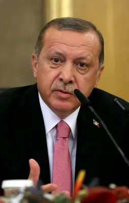 Erdoğan'dan Kazakistan'da önemli açıklamalar