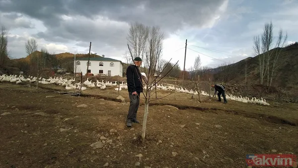 "Yapamazsın" dediler! 300 bin lirayla girdi! 15 bin yavru siparişi aldı - 10