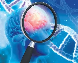 Koku demek çok yemek