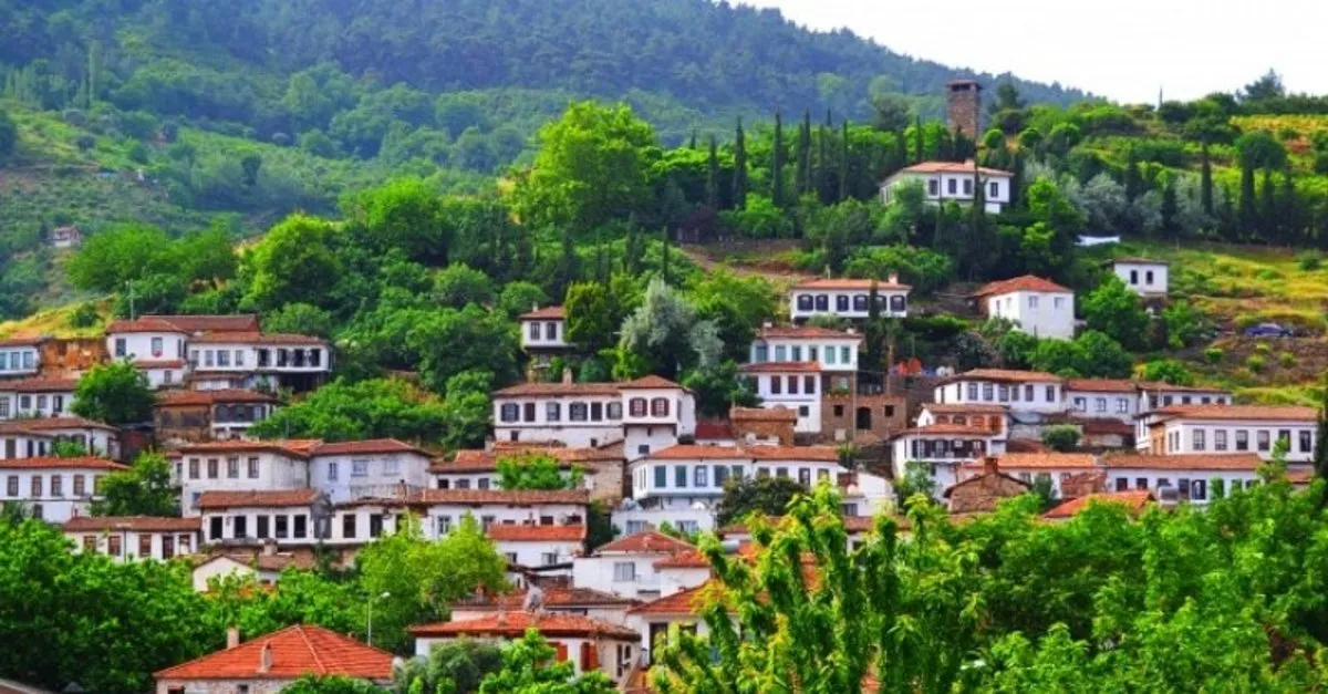 hd düğün dernek arap sakalari