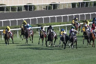 99. Gazi Koşusu yarışacak safkanlar ve jokeyler 2025: Gazi Koşusu nerede, saat kaçta ve hangi kanalda? Büyük ödül ne kadar?