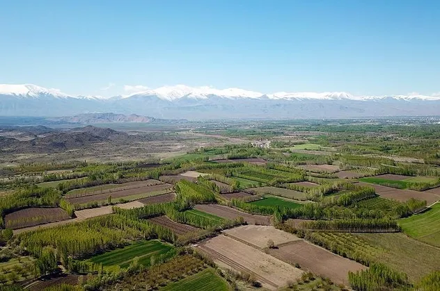 Antalya Demre'de 4 bin 474 metrekare tarla icradan satılık!