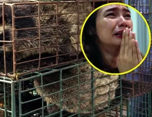 Koronavirüs bitmeden 18 yeni virüs! Adres yine aynı: Wuhan! Yeni salgın mı geliyor?