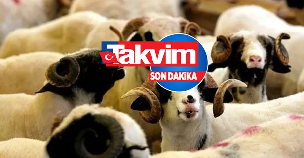 Yurt içi, yurt dışı Kızılay 2022 kurban bağışı kaç TL? Hangi banka şubelerinden yatırılır? Kızılay 2022 kurban bedeli ne kadar?