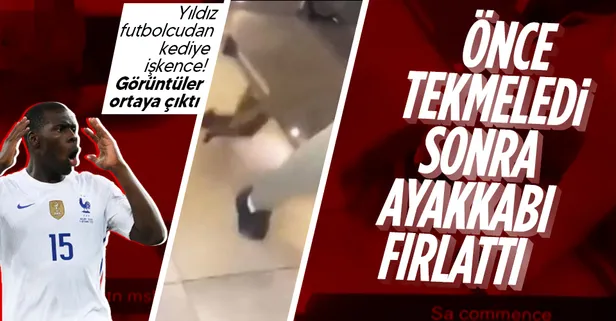 Önce tekmeledi sonra ayakkabı fırlattı! Yıldız futbolcudan kediye işkence! Sosyal medya Kurt Zouma'nın videosuyla sallandı