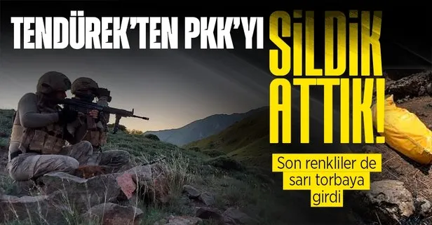 Son dakika: Tendürek terör örgütü PKK’dan temizlendi