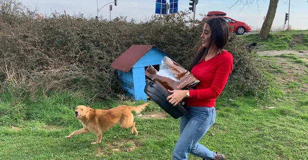 THY kabin memurundan örnek davranış!