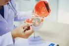 Görme kaybı, ışık çakması ve yamuk görme hangi hastalıkların habercisi? Retina uzmanından önemli uyarılar