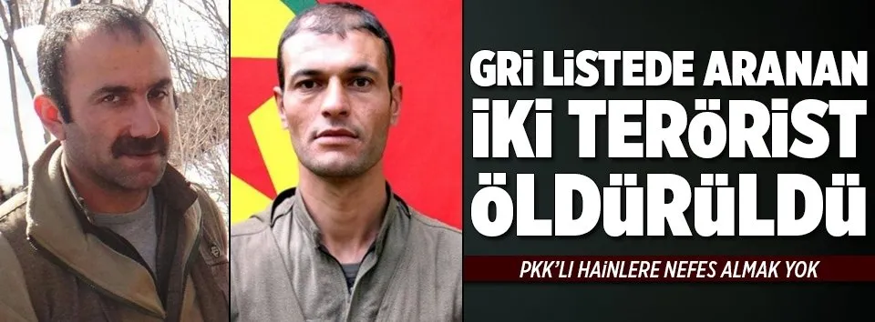 Gri listedeki 2 terörist öldürüldü