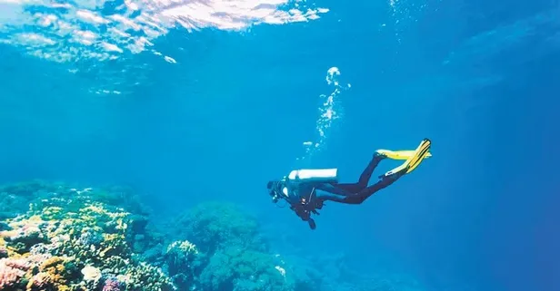 Kuşadası’nda su altı turizmi hareketlendi: Dalış tutkunları erken geldi