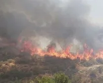 KKTC’deki orman yangınına müdahale sürüyor