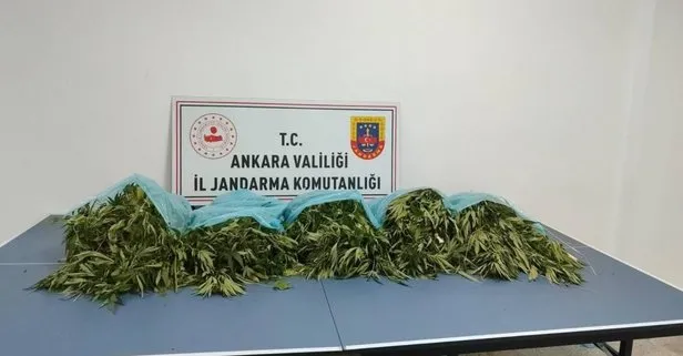 Zehir tacirlerine geçit yok! Ankara’da narkotik operasyonu: 25 kilogram kubar esrar ele geçirildi