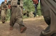 Van’da 1 terörist yakalandı