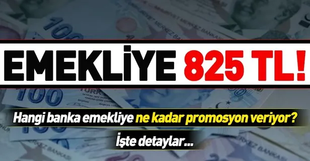 Emekliye 825 TL